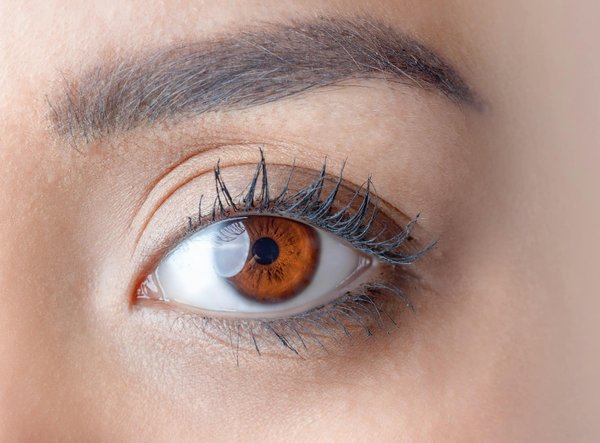Regard captivant : Le pouvoir des sourcils bien définis